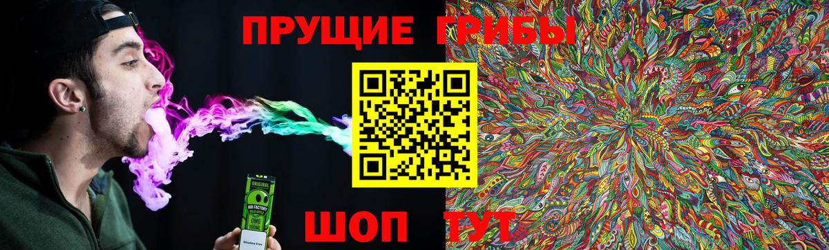 Псилоцибиновые грибы Psilocybe Северск